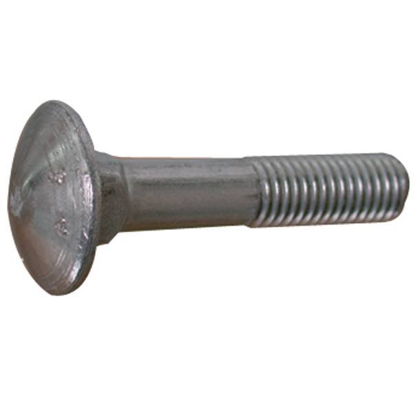 Carriage Bolt 10 x 100 A4 DIN 603-4 2pcs.
