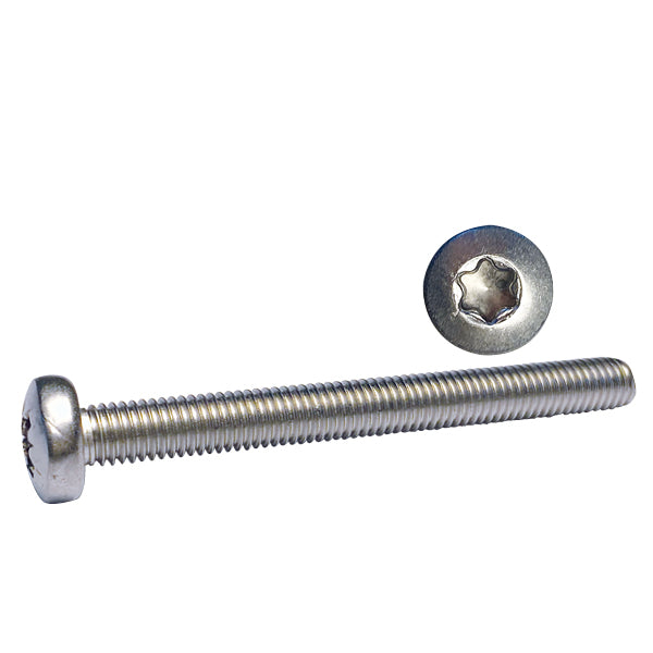 Maskinskruv kullrigt huvud Torx-spår 4x20 A4 ISO14583 10st.