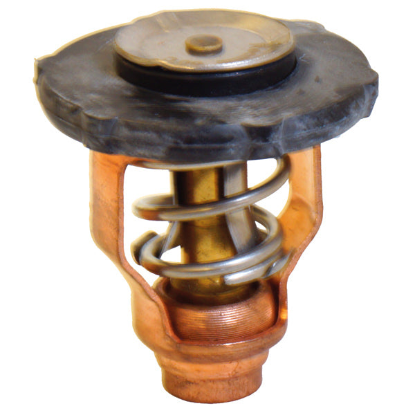 Thermostat for Yamaha OEM 6FP-12411-00